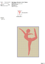 Load image into Gallery viewer, Ballet Dancer Machine Embroidery Designs, Ballerina Silhouette Embroidery Patterns-Kraftygraphy
