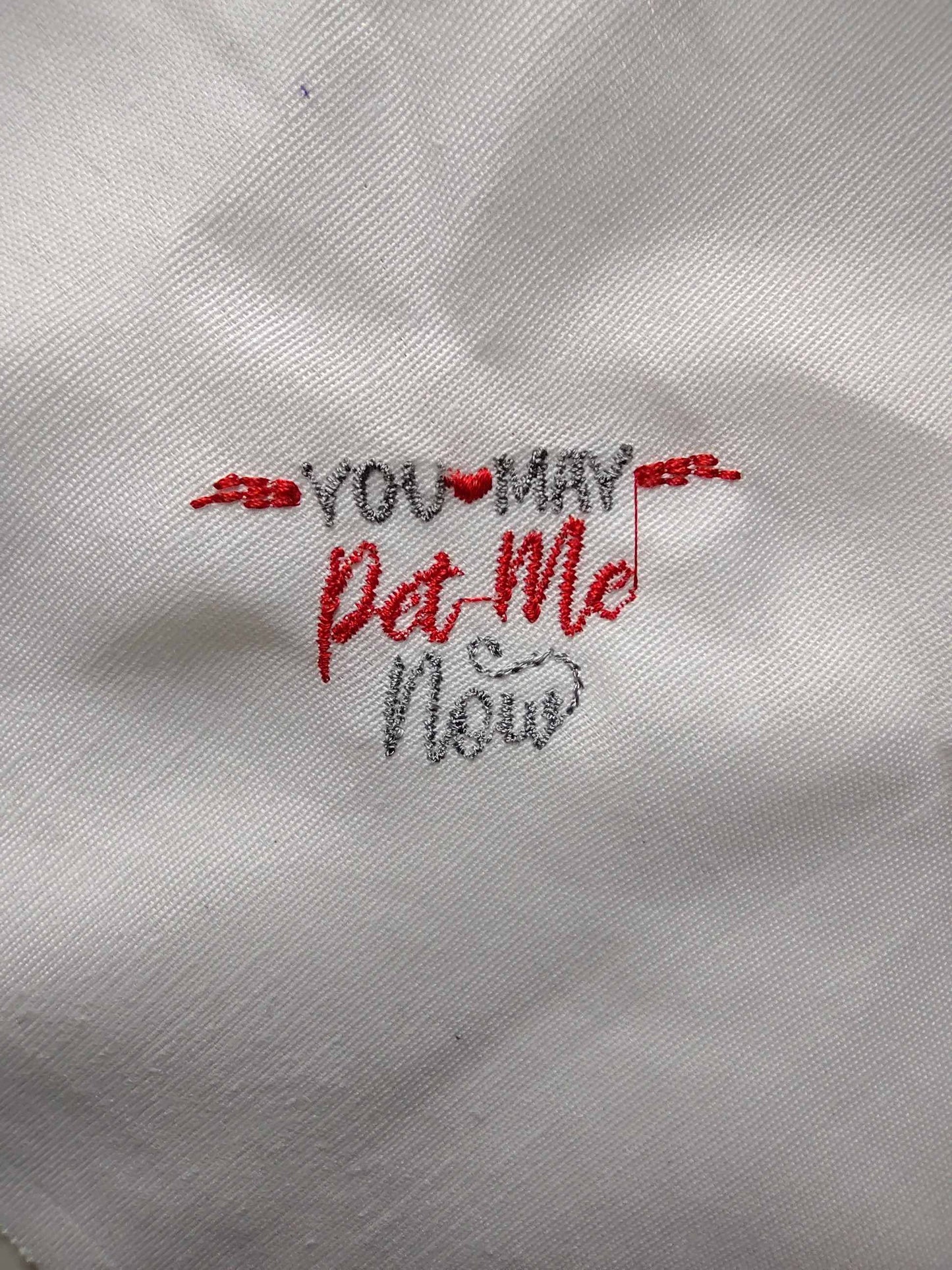 Funny Cat Sayings Machine Embroidery Designs Bundle – Humorous Pet Quotes for Apparel & Gifts-Kraftygraphy