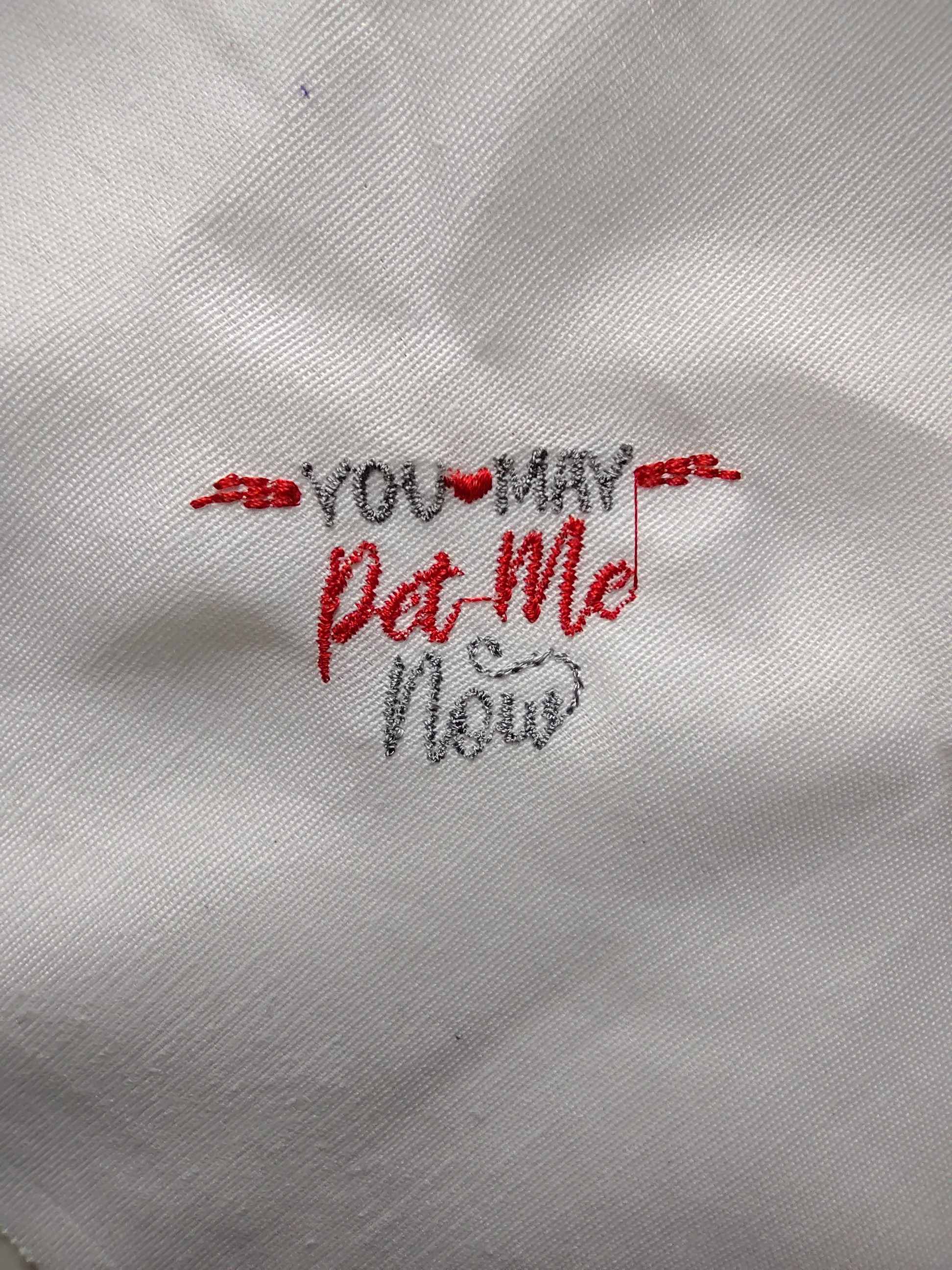 Funny Cat Sayings Machine Embroidery Designs Bundle – Humorous Pet Quotes for Apparel & Gifts-Kraftygraphy