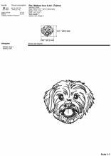 Load image into Gallery viewer, Maltese face machine embroidery design, multiple sizes and file types, outline sketch style-Kraftygraphy
