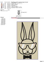 Load image into Gallery viewer, Rabbit Face Machine Embroidery Designs, Bunny With Sunglasses Embroidery Patterns, Cute Rabbit Head Embroidery Files, Big Bunny Face Applique Embroidery, Cool Bunny, Funny Bunny, Easter Bunny, Cartoon Bunny, Simple Bunny, Small Bunny,-Kraftygraphy

