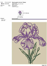 Load image into Gallery viewer, Iris Flower Embroidery Designs for Spring and Easter Projects-Kraftygraphy

