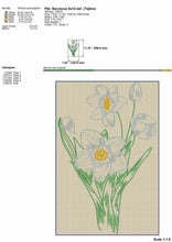 Load image into Gallery viewer, White Daffodil Flower Embroidery Design for Machine in Sketch Style-Kraftygraphy

